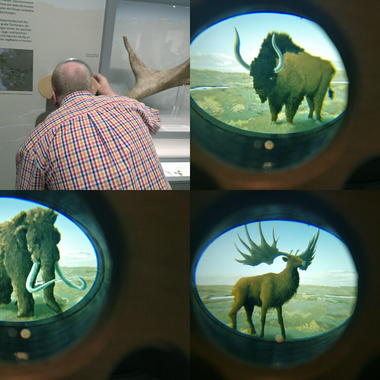 Museumsdesign Rüsselsheim Illustration