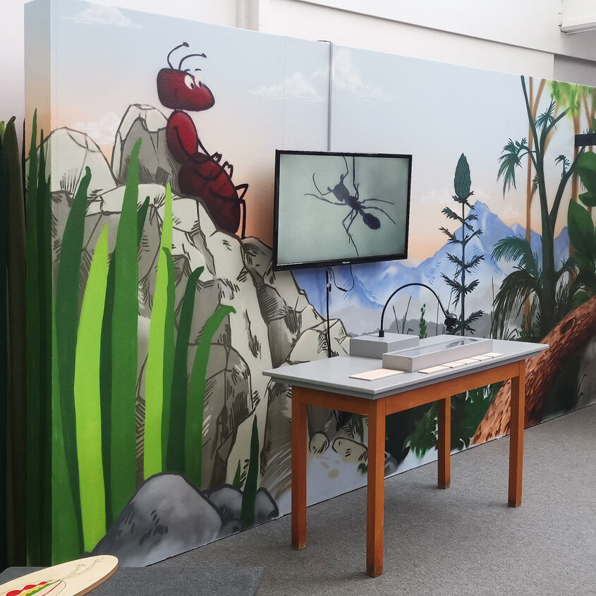 ausstellung, museum, kaf, kinderakademie, fulda, mitmachmuseum, interaktiv, illustration, wandgestaltung, design, kunst, sprühen, ingmar süß. kinder, experimenta, kindermuseum