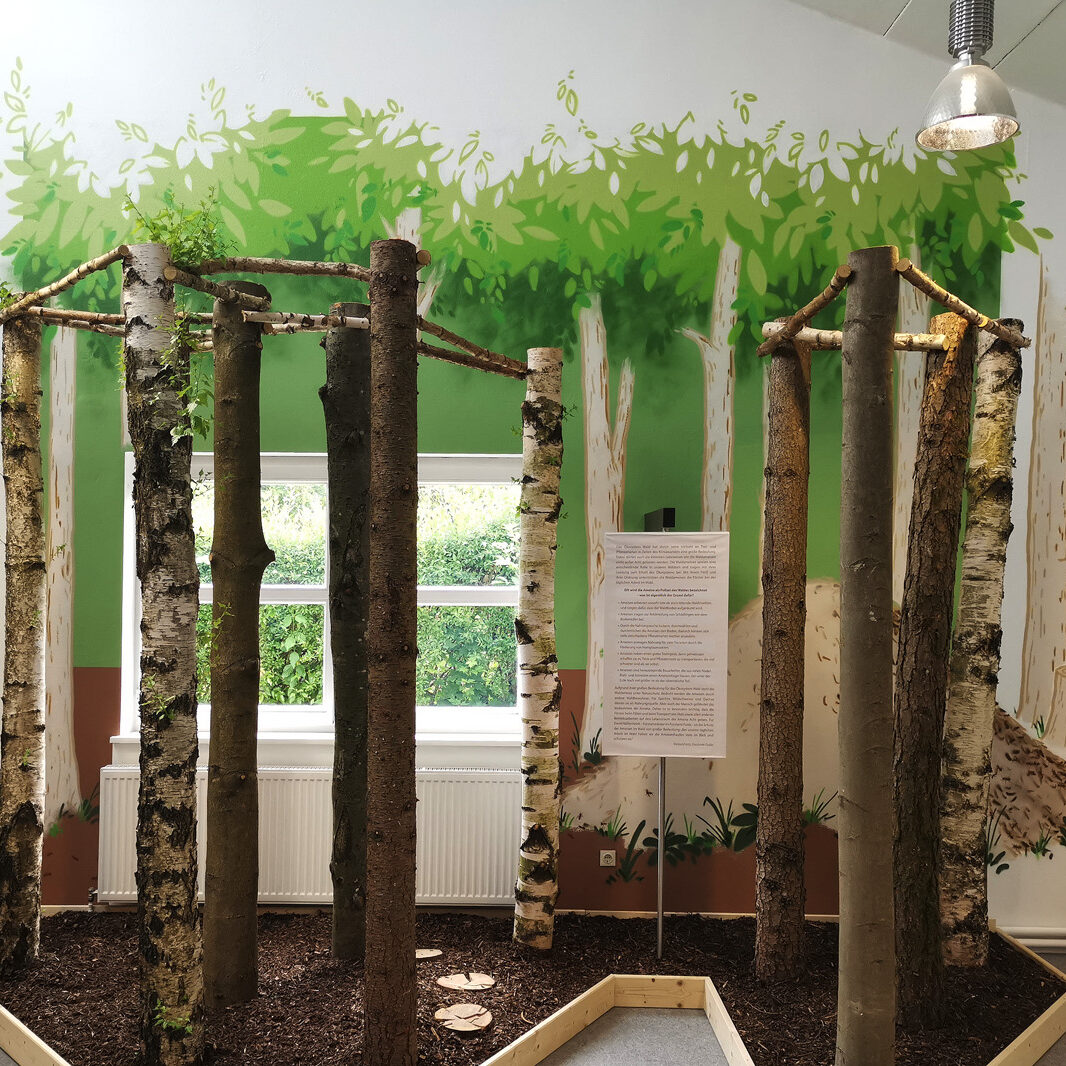 ausstellung, museum, kaf, kinderakademie, fulda, mitmachmuseum, interaktiv, illustration, wandgestaltung, design, kunst, sprühen, ingmar süß. kinder, experimenta, kindermuseum