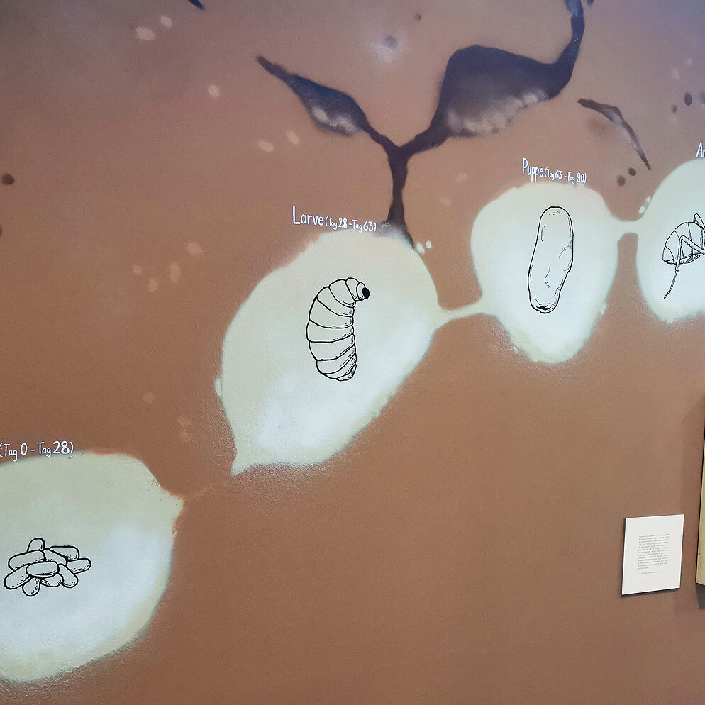 ausstellung, museum, kaf, kinderakademie, fulda, mitmachmuseum, interaktiv, illustration, wandgestaltung, design, kunst, sprühen, ingmar süß. kinder, experimenta, kindermuseum